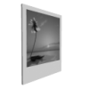 loading images